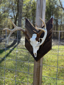 Deer Mount Plaque
